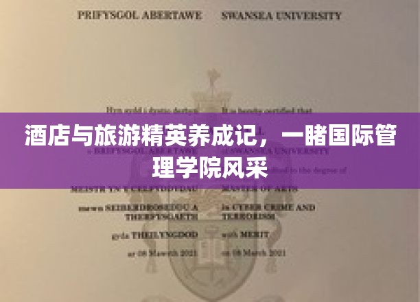 国际管理学院精英摇篮，酒店与旅游行业精英之路大揭秘