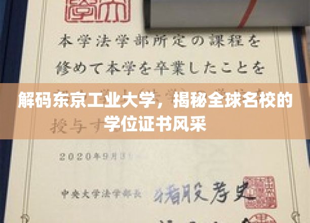 解码东京工业大学，揭秘全球名校的学位证书风采
