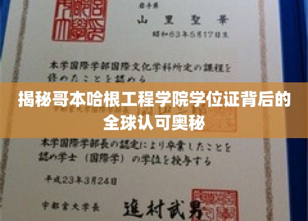 全球通行证背后的哥本哈根工程学院学位魅力揭秘