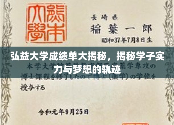 弘益大学成绩单大揭秘，探寻学子实力与梦想的轨迹