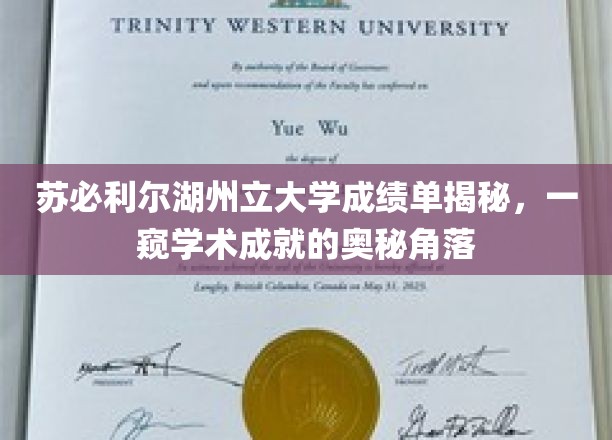 苏必利尔湖州立大学成绩单背后的学术秘境大揭秘
