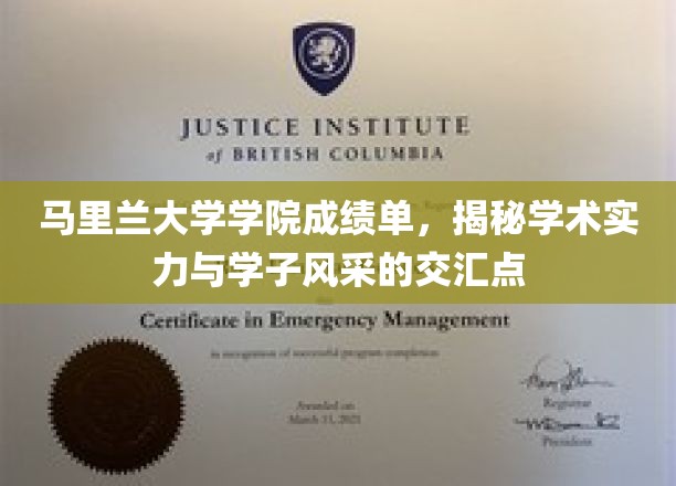 马里兰学院成绩单揭秘，学术实力与学子风采的璀璨融合