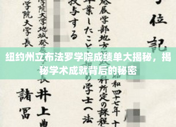 布法罗学院成绩单背后的惊人真相，揭秘学术精英的成长之路