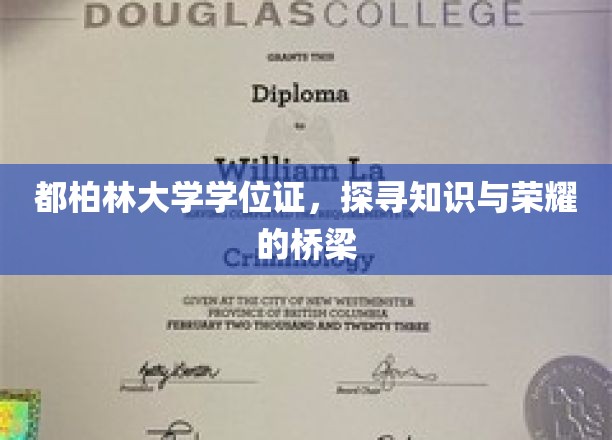 都柏林大学学位证，探寻知识与荣耀的桥梁