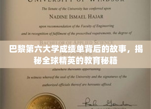 解码巴黎第六大学成绩单，探寻世界顶尖学府的教育奥秘