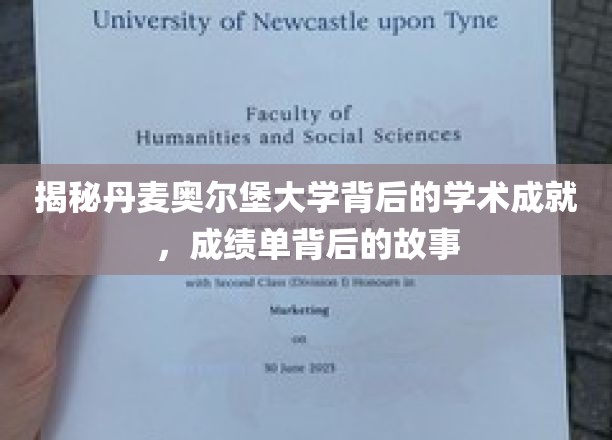 解锁奥尔堡大学学术辉煌，揭秘非凡成就背后的真实历程