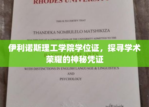 学位荣耀之谜，伊利诺斯理工学院学位证的学术传奇