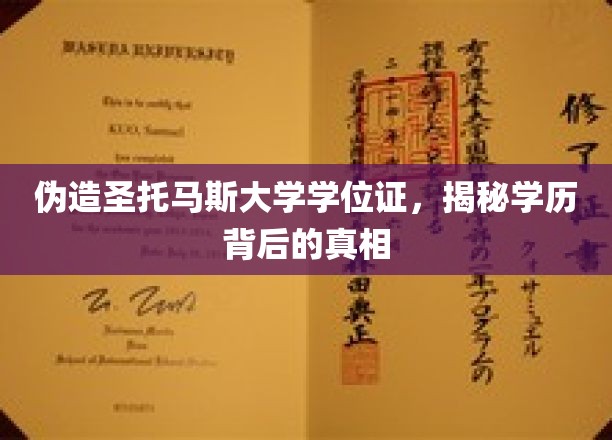 伪造圣托马斯大学学位证，揭秘学历背后的真相