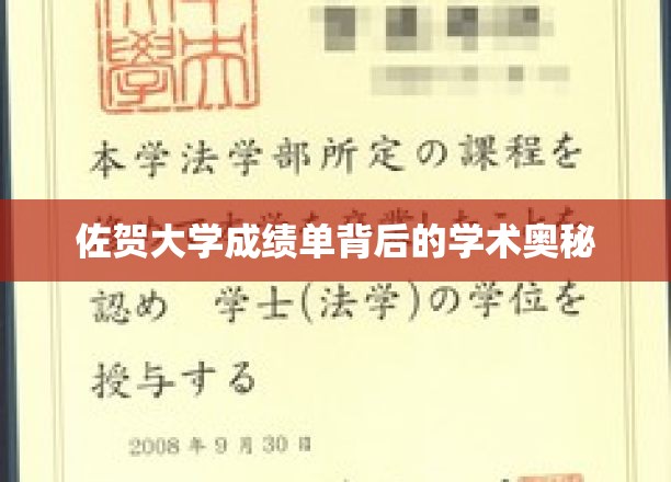 解码佐贺大学成绩单，探寻学术成就的神秘面纱