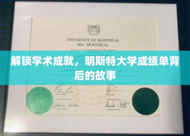 探索明斯特大学卓越成就，揭开成绩单背后的神秘面纱