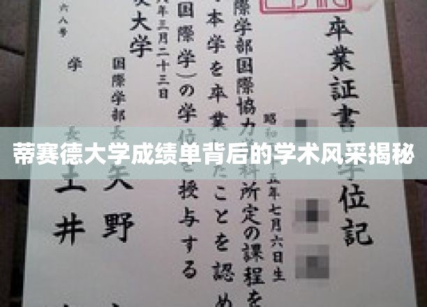 探索蒂赛德大学成绩单背后的卓越学术魅力