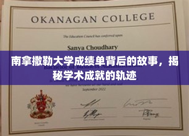 探寻南拿撒勒大学成绩单背后的传奇，解码学子辉煌成就之路