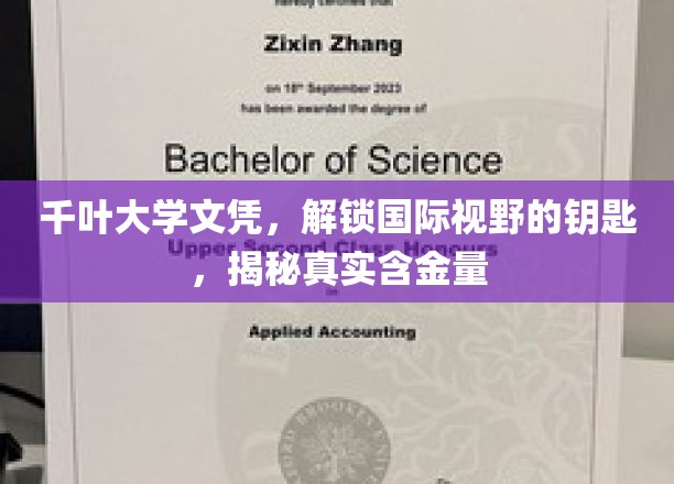 千叶大学文凭，开启国际视野之门，揭秘其真实含金量