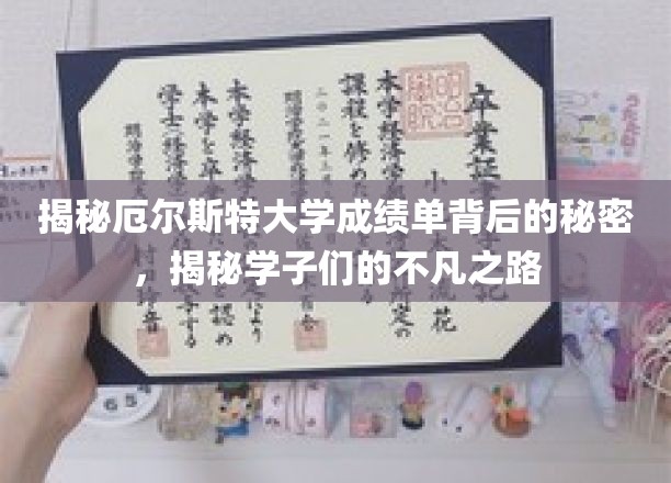 解码厄尔斯特大学成绩单，探索精英学子的非凡成长轨迹