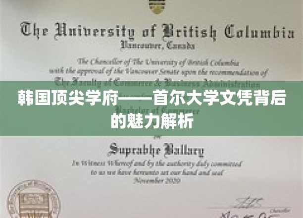 揭开首尔大学文凭的神秘面纱，探索顶尖学府的魅力所在