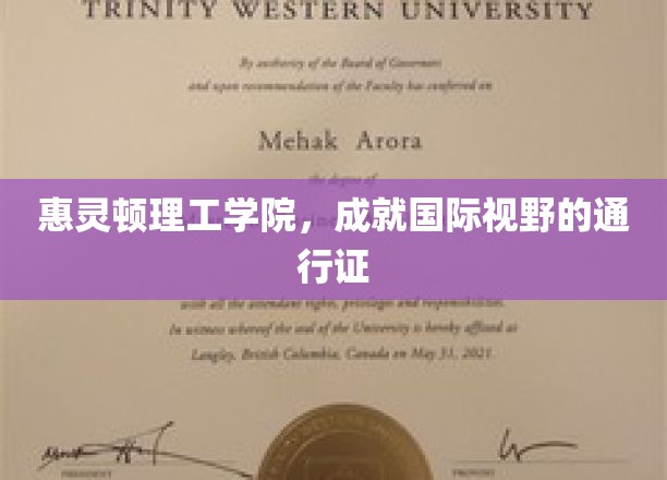 惠灵顿理工学院，开启全球视野的留学之门