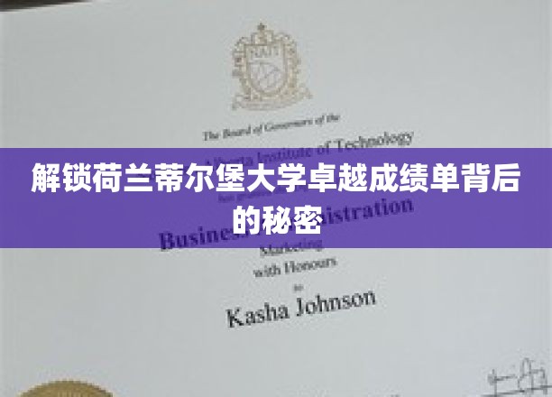揭秘荷兰蒂尔堡大学学术辉煌的秘密武器