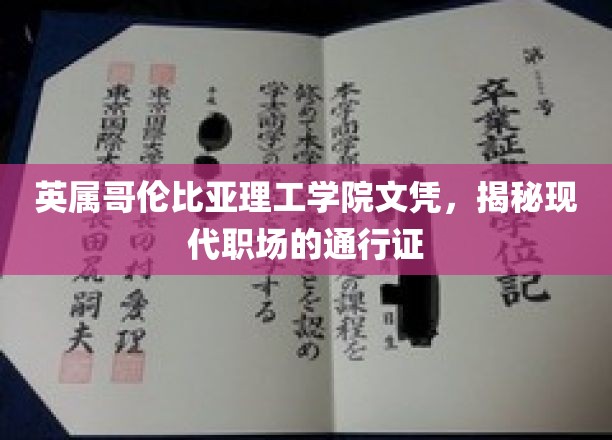 英属哥伦比亚理工学院文凭，揭秘现代职场的通行证