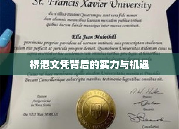 桥港文凭背后的实力与机遇