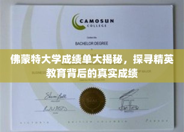 佛蒙特大学成绩单大揭秘，探寻精英教育背后的真实成绩