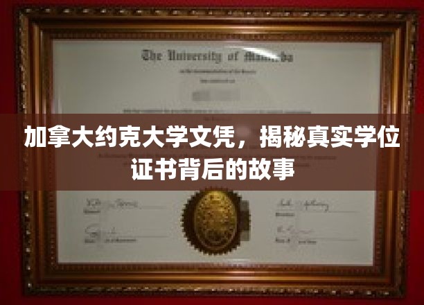 加拿大约克大学文凭，揭秘真实学位证书背后的故事