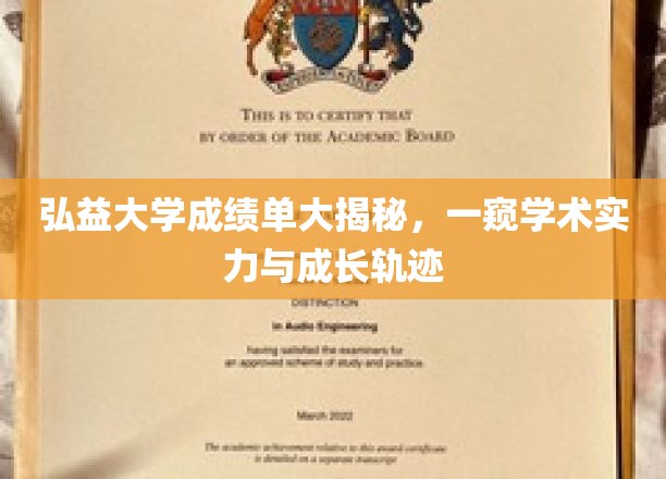 弘益大学成绩单背后，揭秘学子实力与成长路径
