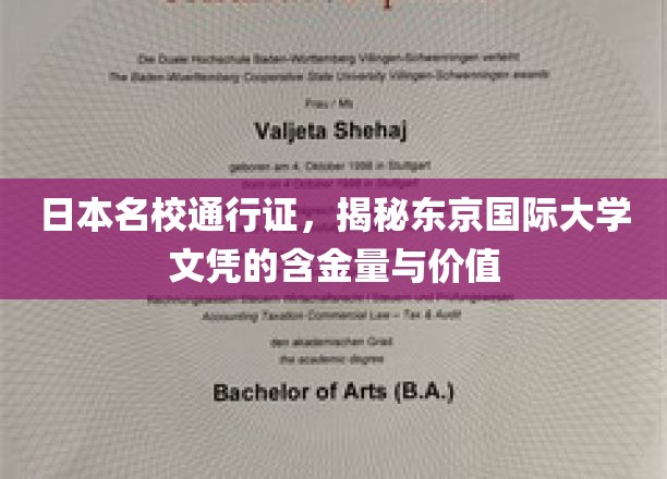 东京国际大学文凭，日本顶尖学府的通行证，揭秘其独特魅力和价值