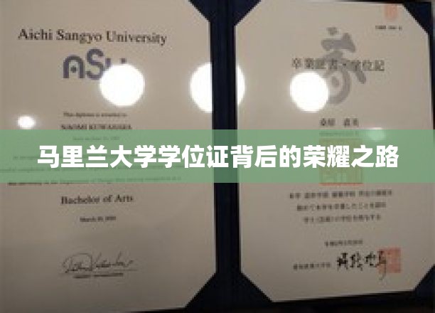 探索马里兰大学学位背后的辉煌征程