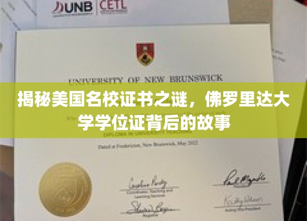 探秘佛罗里达大学，一纸学位证背后的名校传奇