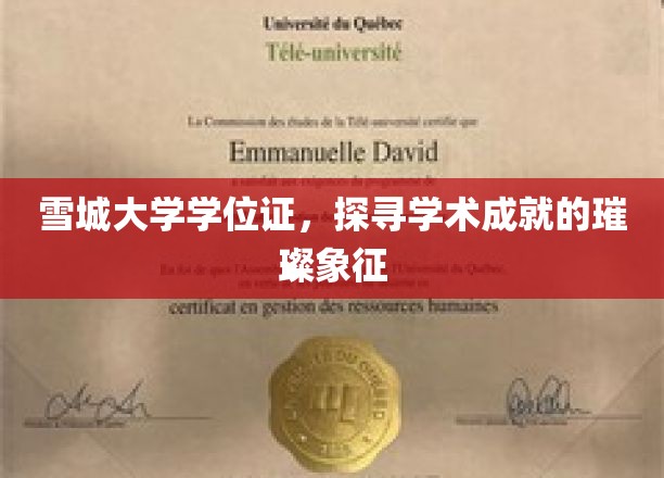 雪城荣耀，学位证书背后的学术之光