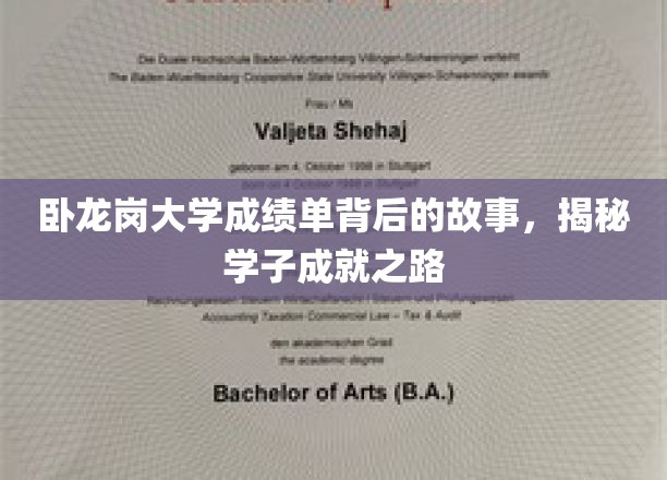 卧龙岗大学成绩单里的秘密，探寻学子的成长轨迹