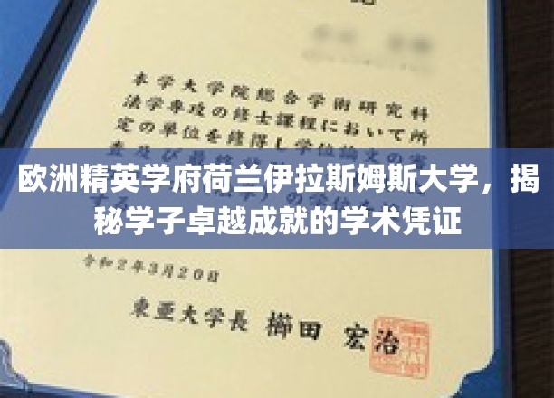 解码荷兰伊拉斯姆斯大学，培养未来精英的学术宝藏
