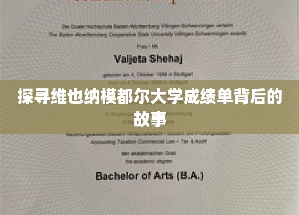 揭开维也纳模都尔大学成绩单的神秘面纱