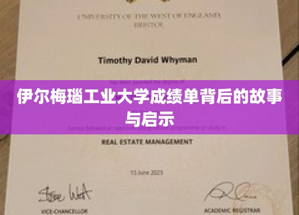 伊尔梅瑙工业大学成绩单背后的故事与启示