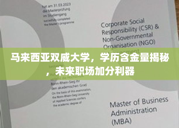 马来西亚双威大学学历揭秘，职场晋升的秘密武器