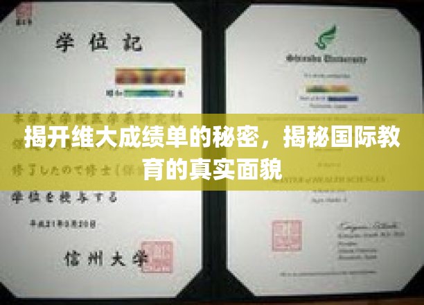 解码维大成绩单，一窥国际教育背后的真实世界