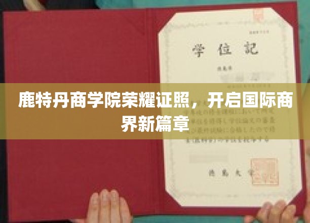 鹿特丹商学院荣耀证照，开启国际商界新篇章