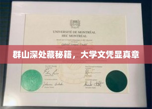群山深处藏秘籍，大学文凭显真章