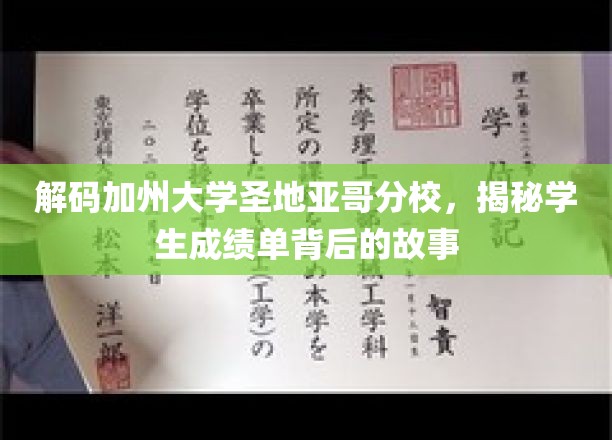 解锁UCSD神秘学园，一窥学生成绩单背后鲜为人知的传奇