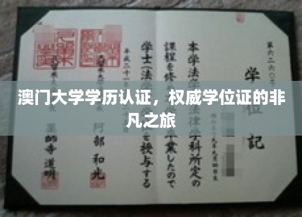 澳门大学学历认证，权威学位证的非凡之旅