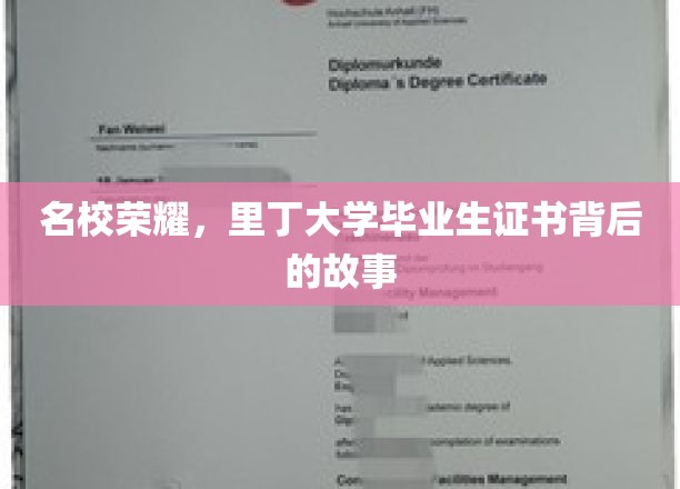 揭秘里丁大学毕业生证书背后的荣耀与传奇