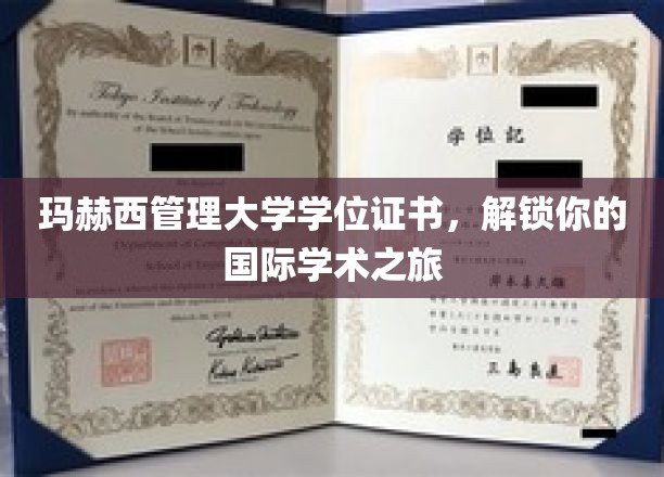 跨越国界，玛赫西学位证书助你开启全球学术探险之旅