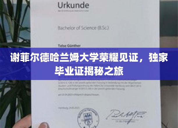 谢菲尔德哈兰姆大学荣耀见证，独家毕业证揭秘之旅