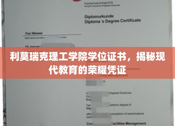 解锁未来职场金钥匙，利莫瑞克理工学院学位证书背后的教育之光