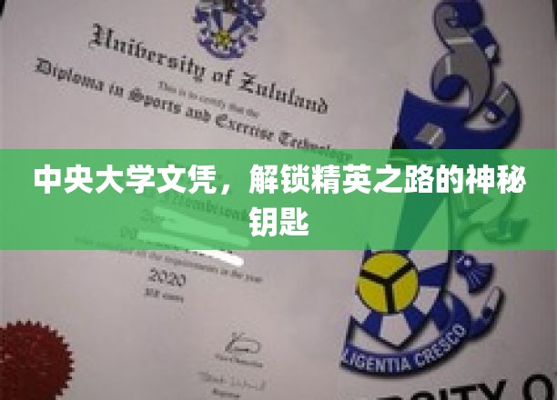 中央大学文凭，解锁精英之路的神秘钥匙