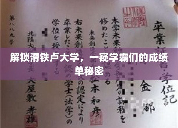 解锁滑铁卢大学，一窥学霸们的成绩单秘密