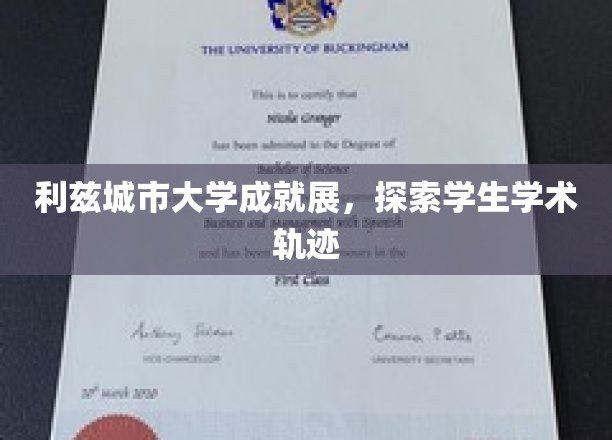 利兹城市大学学子足迹，一场学术成就的精彩演绎
