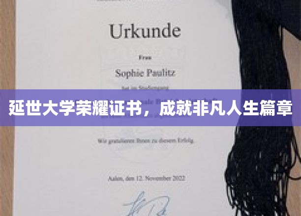 延世大学荣耀证书，开启非凡人生篇章
