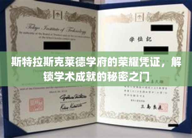 斯特拉斯克莱德学府神秘荣誉，揭秘学术巅峰背后的钥匙