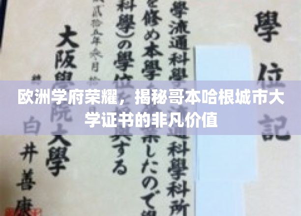 哥本哈根城市大学，欧洲教育殿堂的璀璨文凭，成就非凡未来